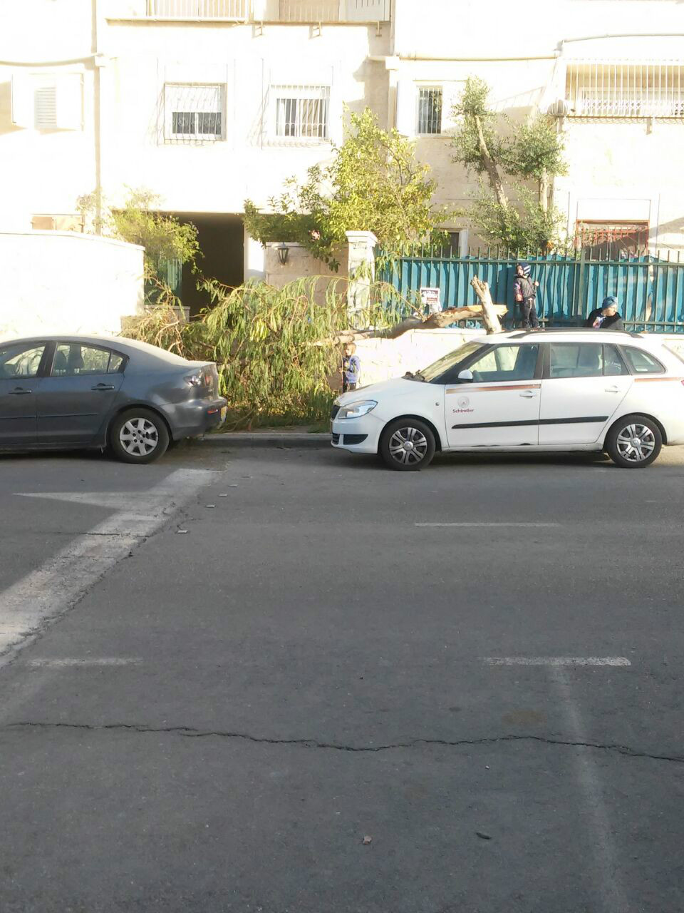 מנזקי הסופה 